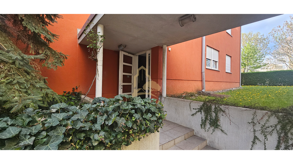 Image 15