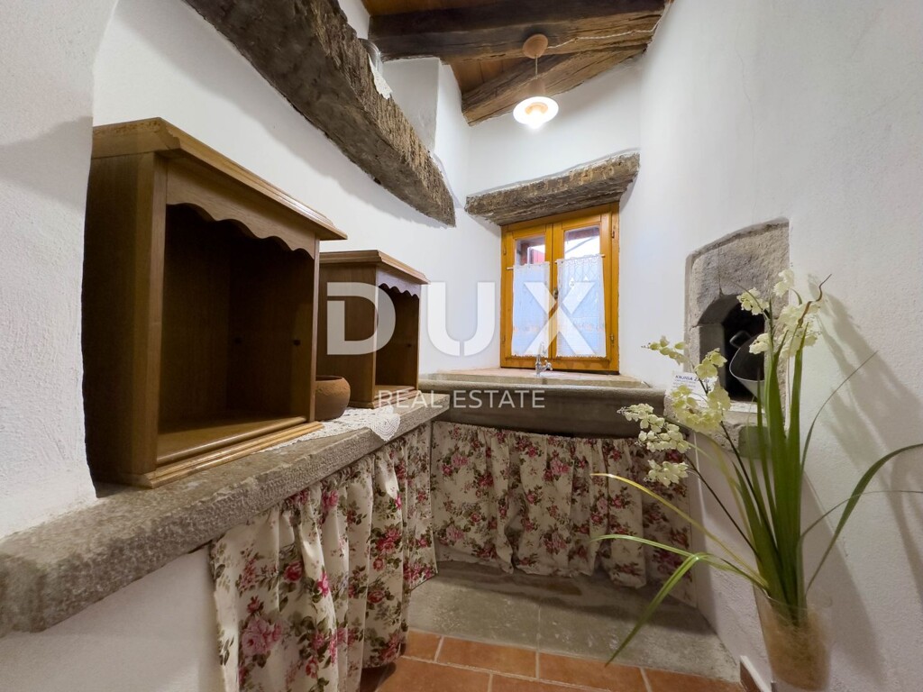 Image 13