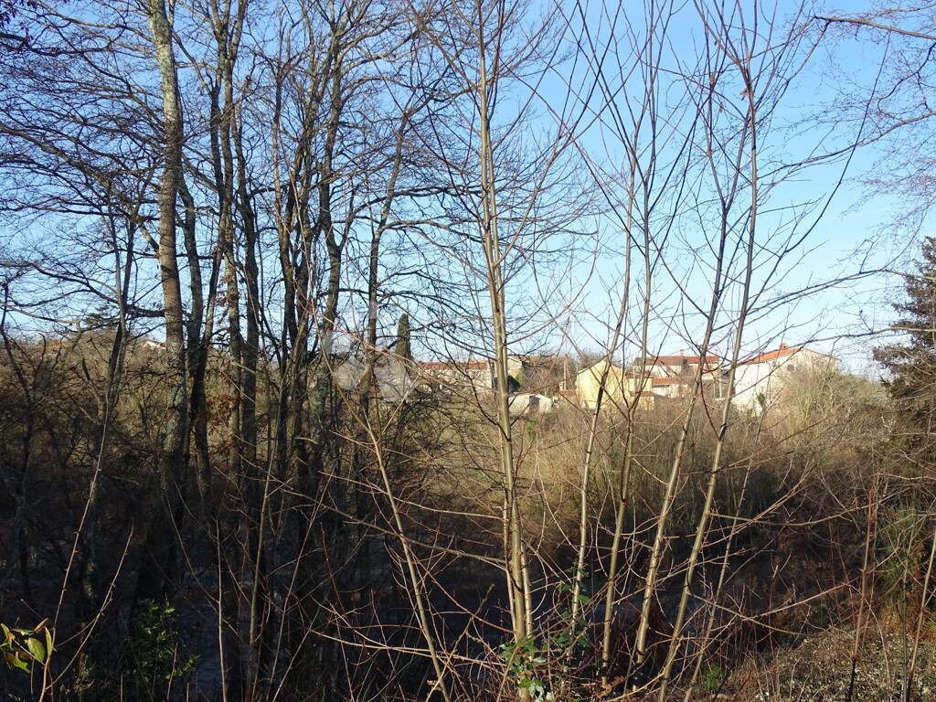 Image 15