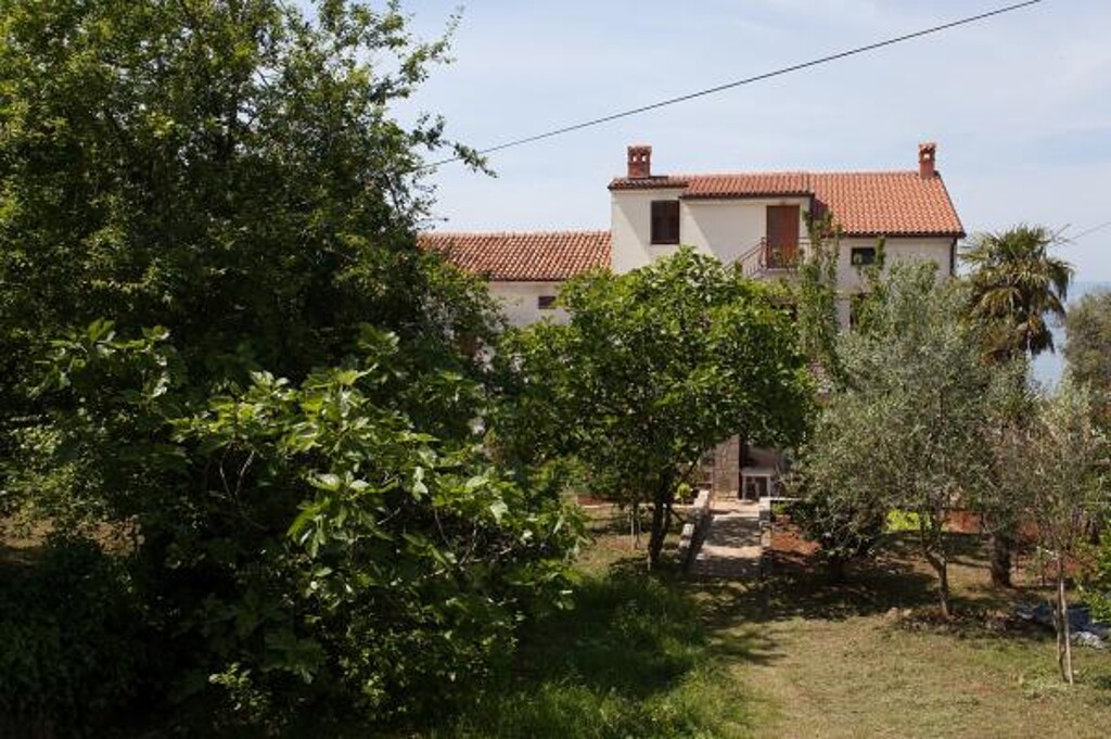 Image 3838602 - 3