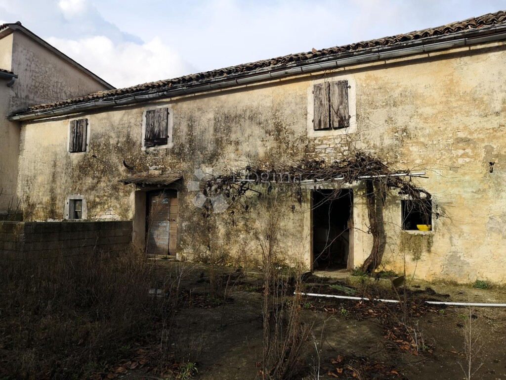 Image 13