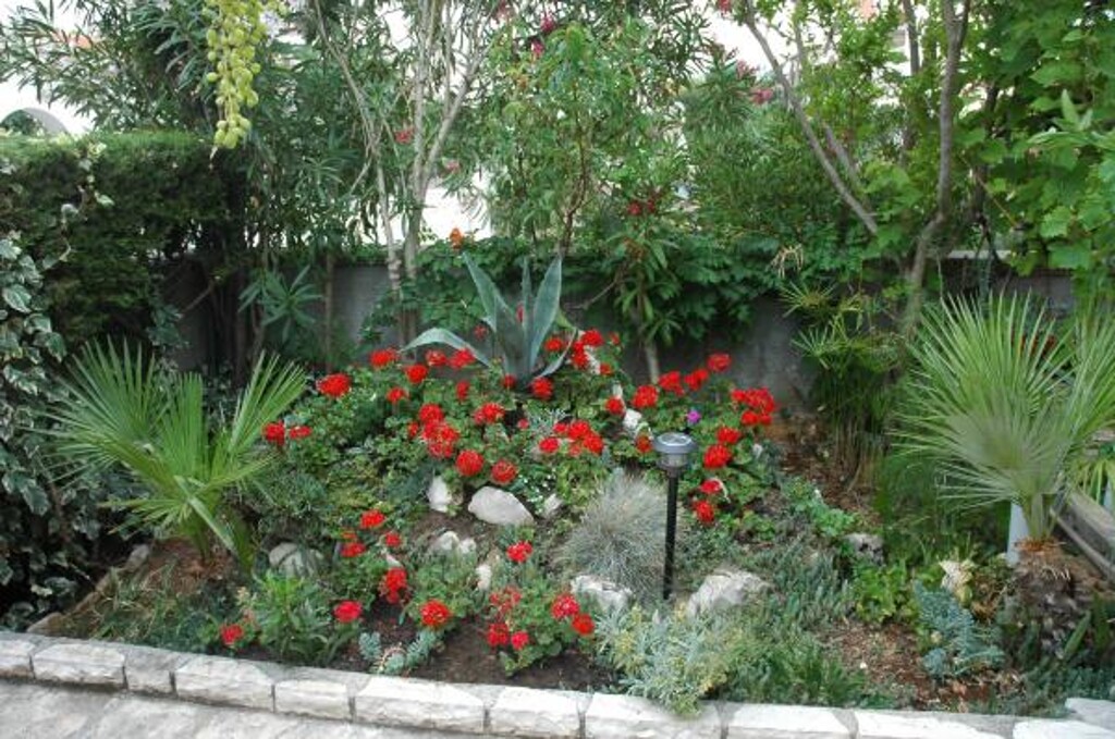 Image 3814552 - 5