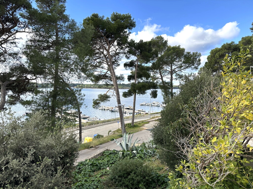 Image 4