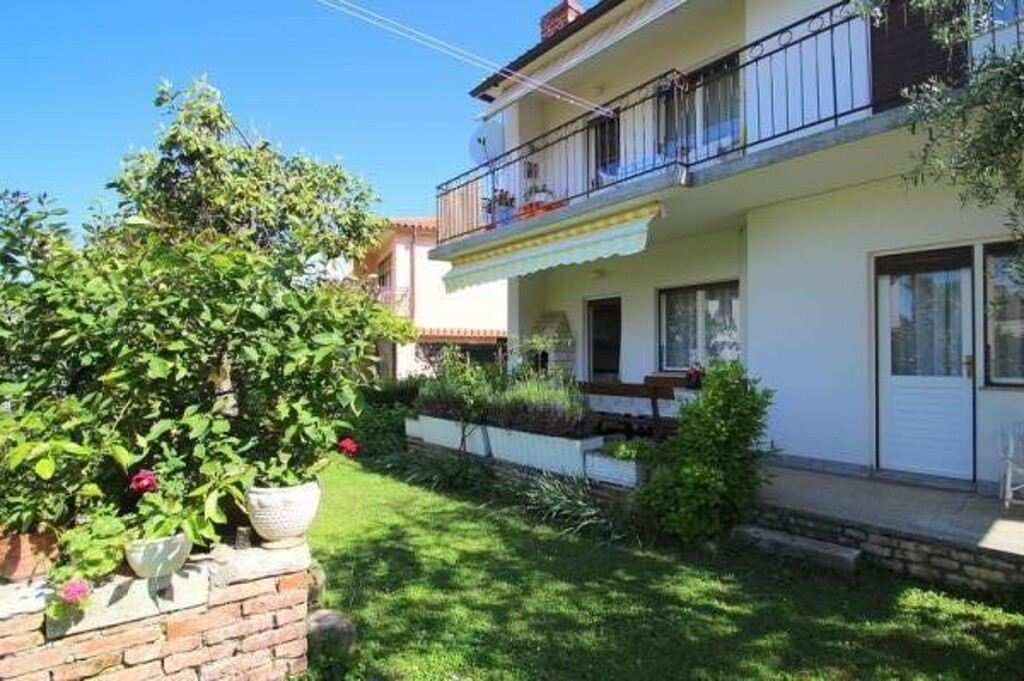 Image 3813476 - 8