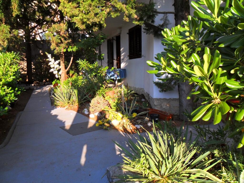 Image 23