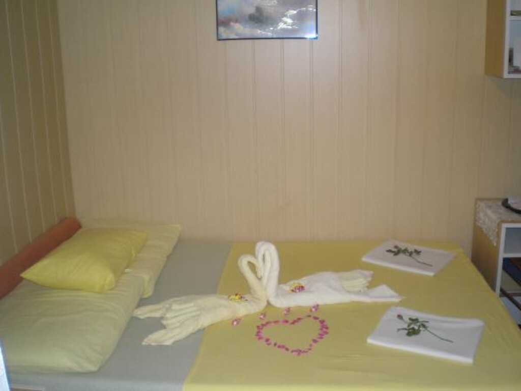 Image 3813434 - 24
