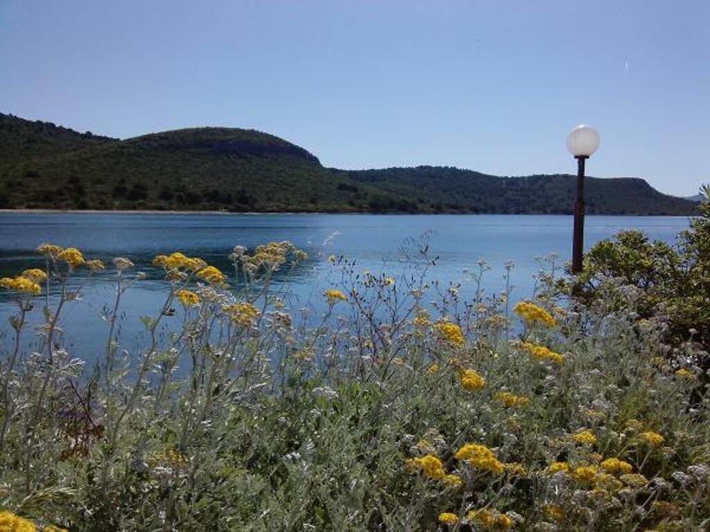Image 3812238 - 21