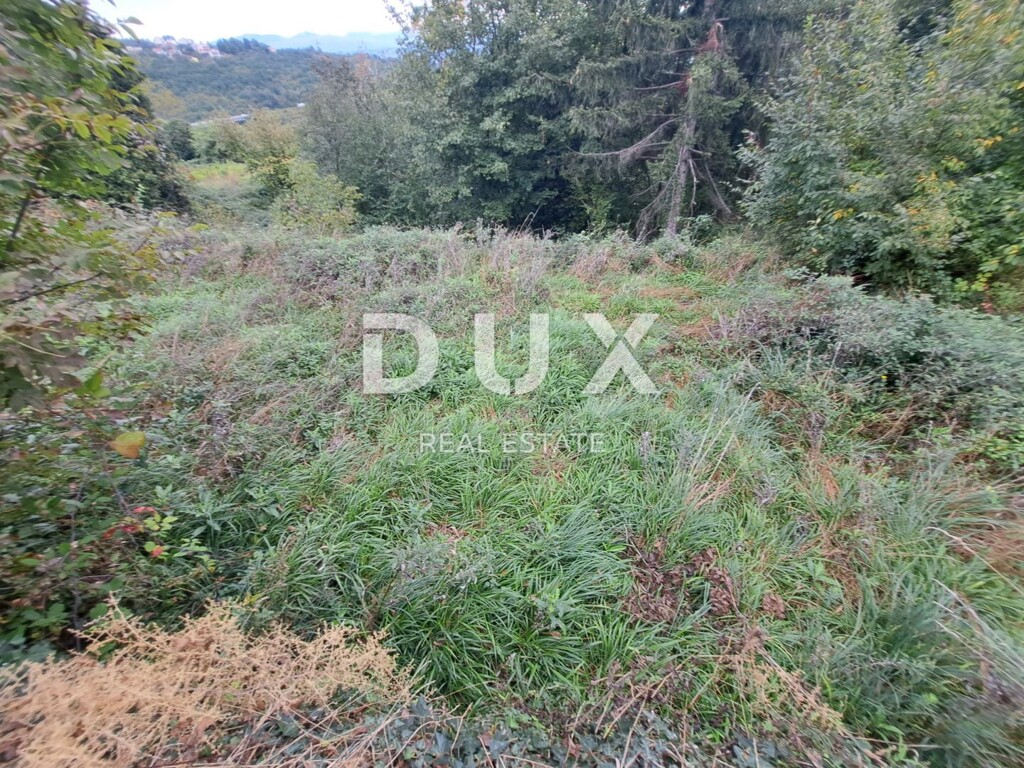 Image 25