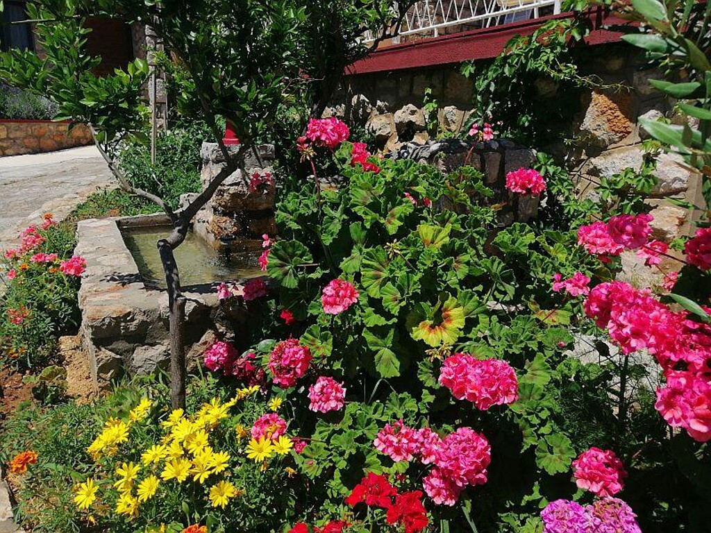 Image 3810756 - 9