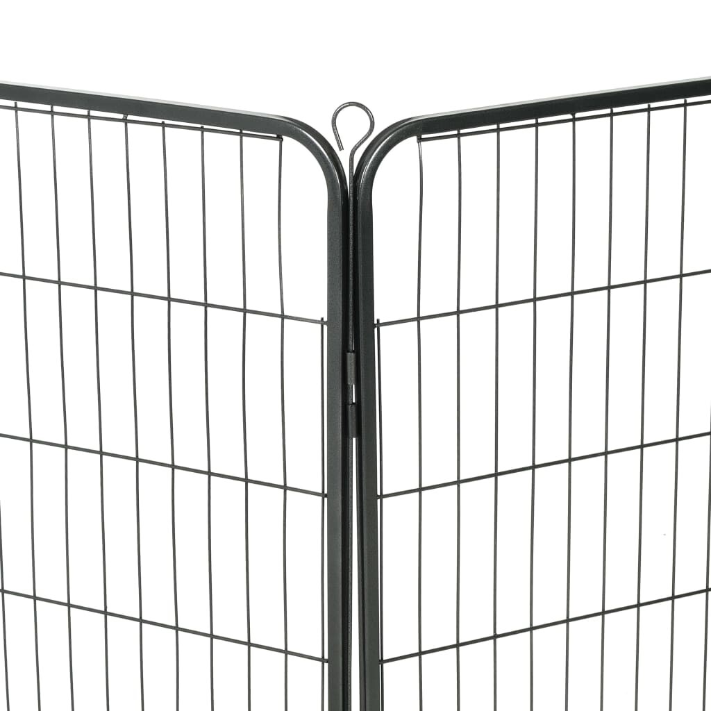 Image 6