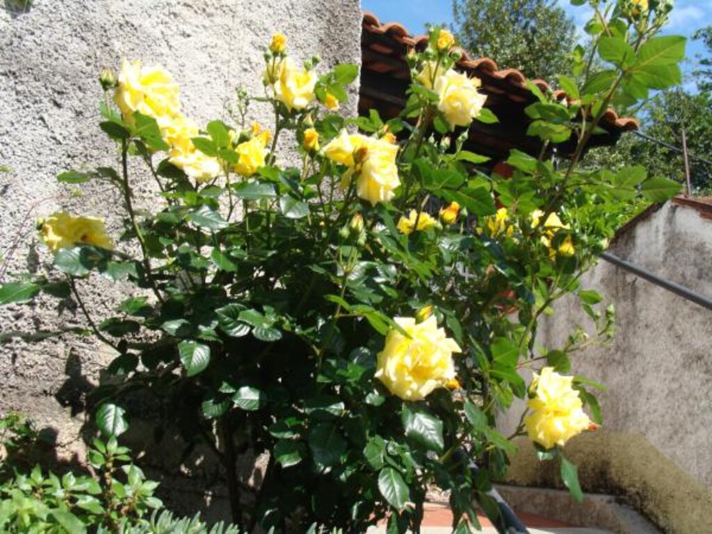 Image 3812158 - 9