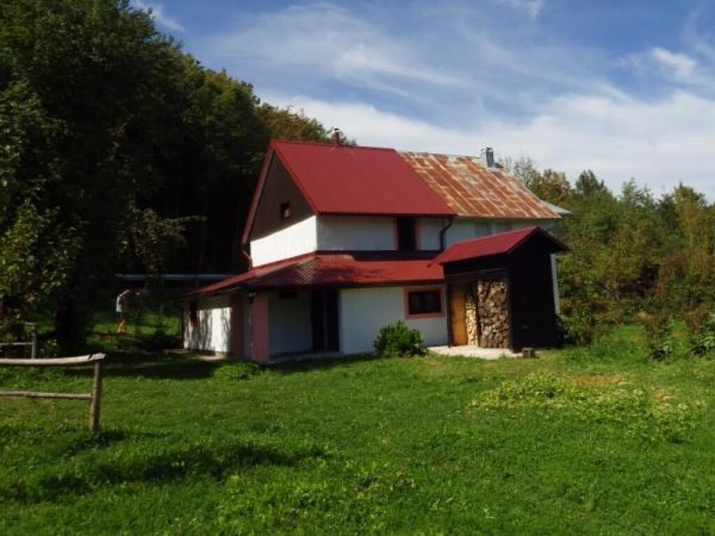 Image 3810537 - 7