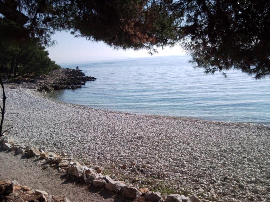 Image 3812989 - 7