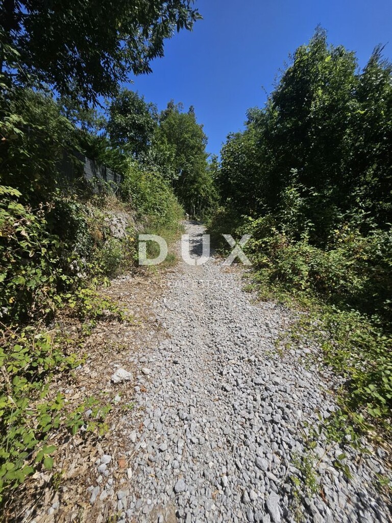 Image 14