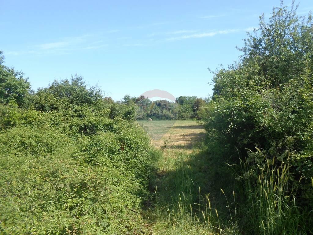 Image 5410287 - 3