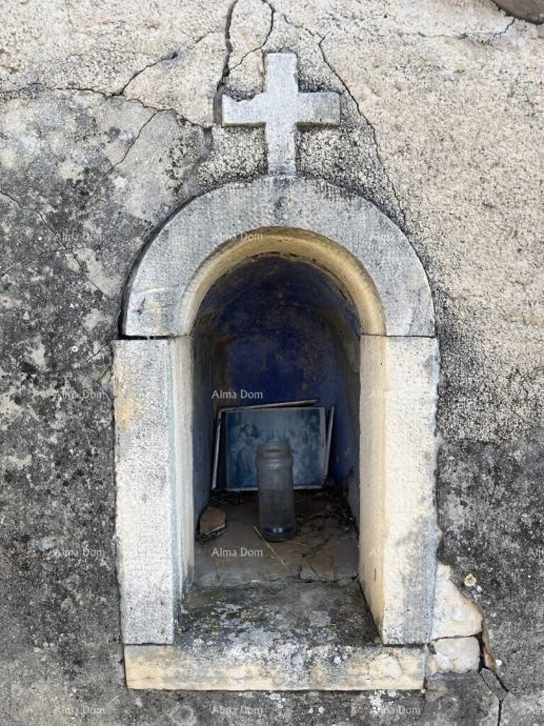 Image 13