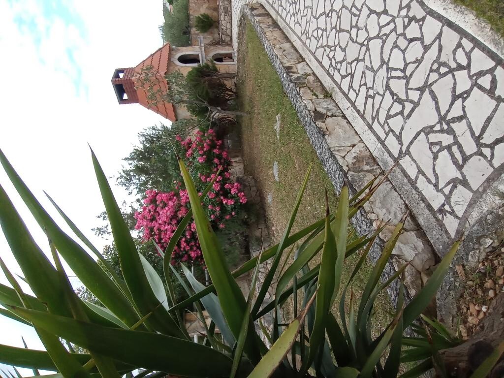 Image 3812281 - 17