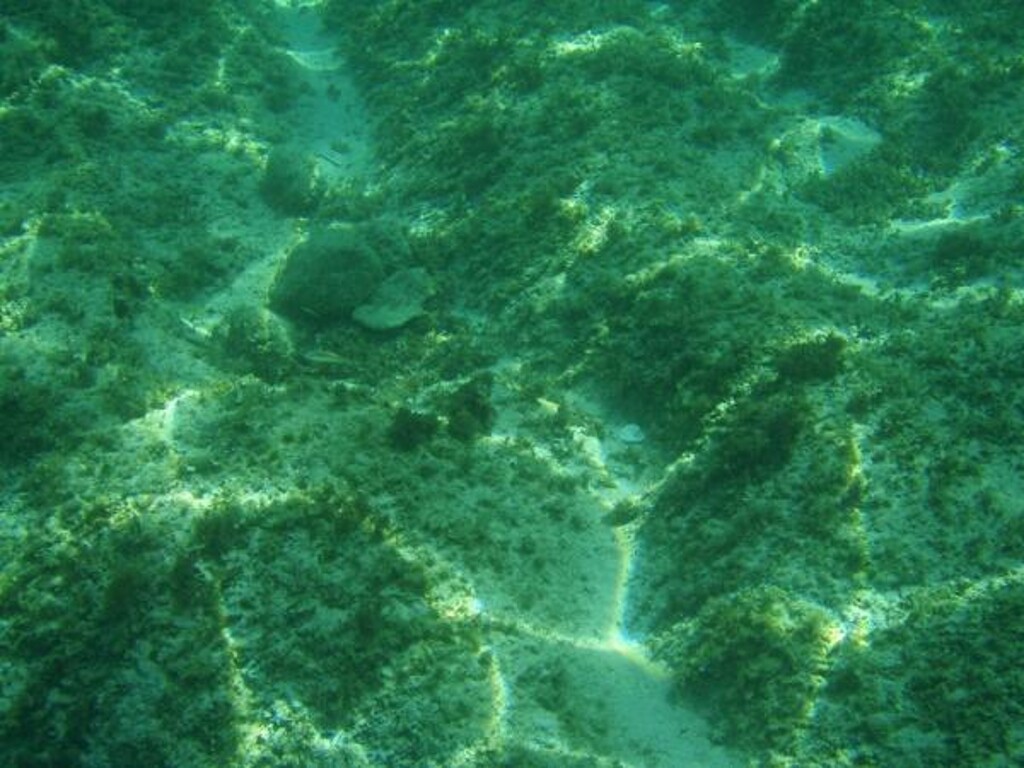 Image 3812221 - 15