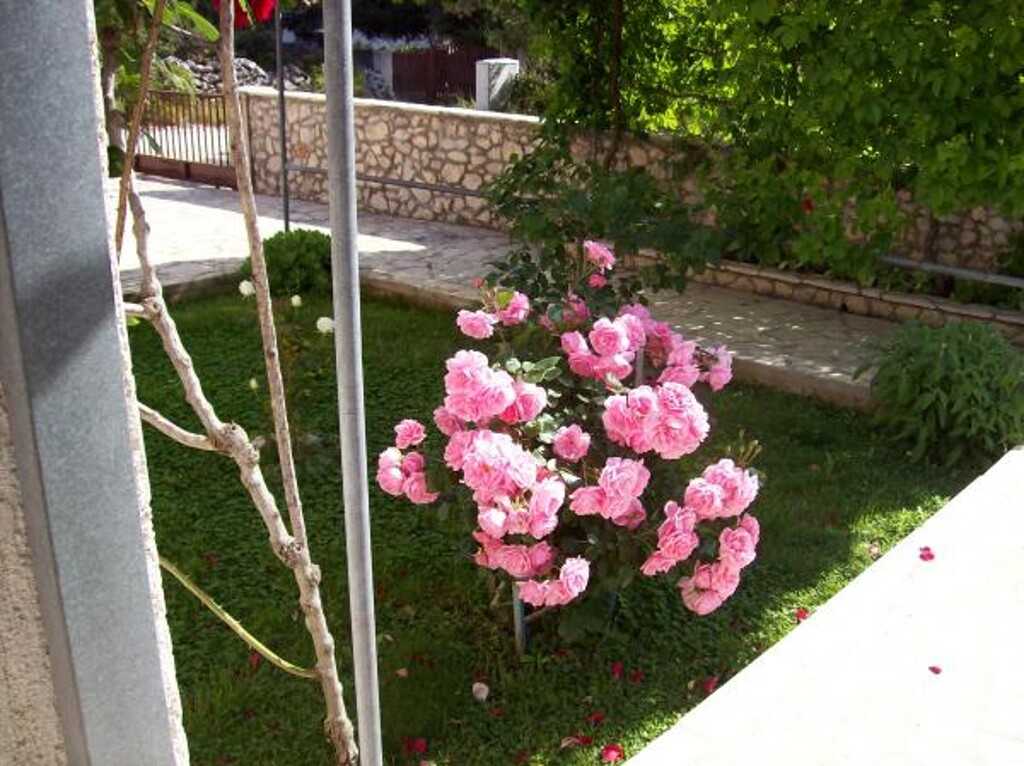 Image 3838995 - 24