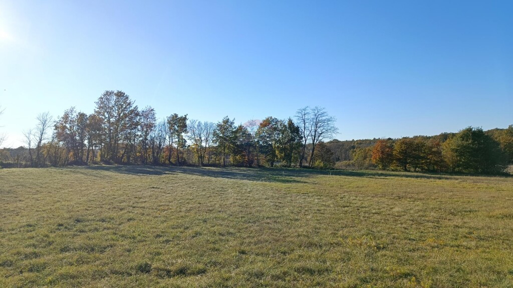 Image 5429012 - 3