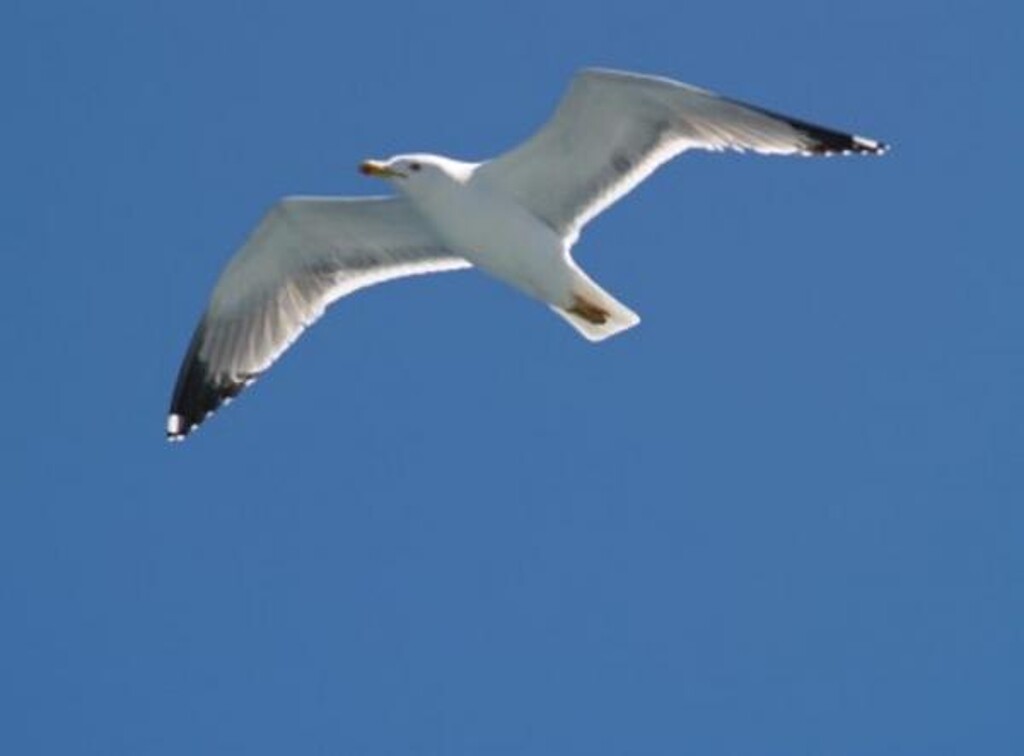 Image 3812392 - 9