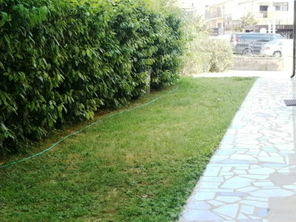 Image 3811332 - 13