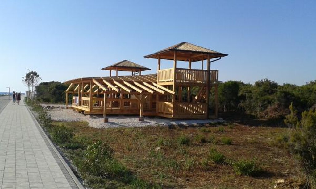 Image 3811497 - 15