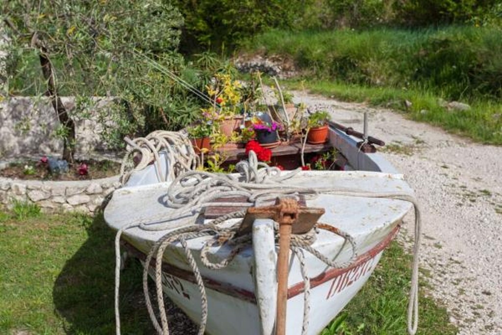 Image 3815333 - 21
