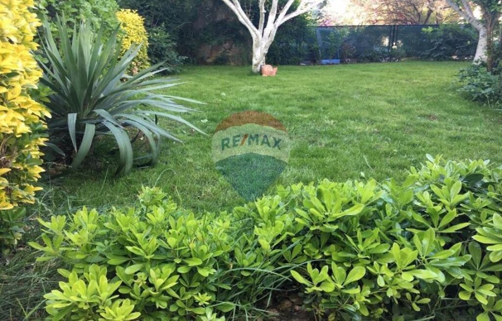 Image 18