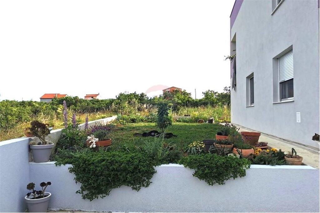 Image 13