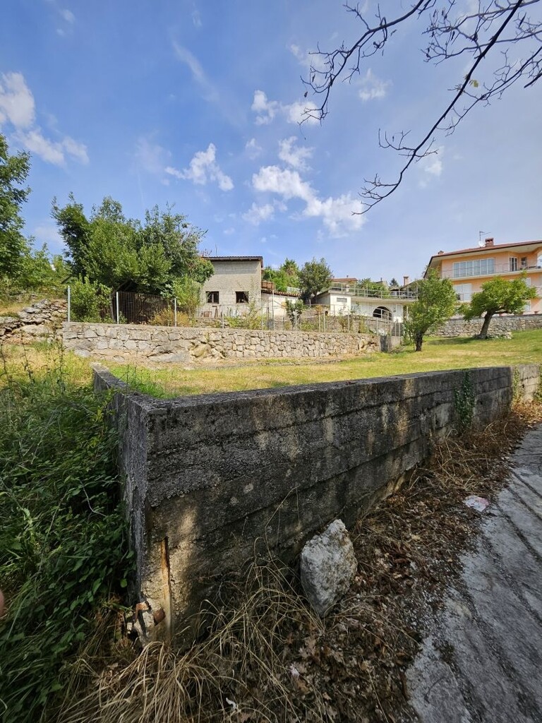 Image 13