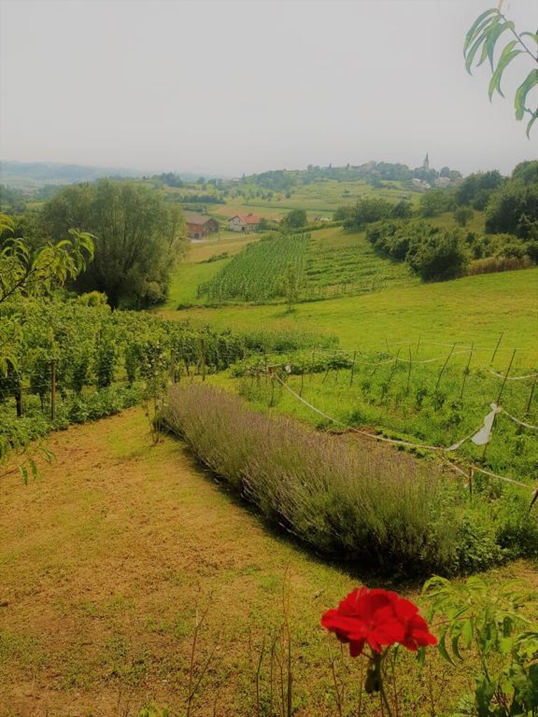 Image 3813394 - 10