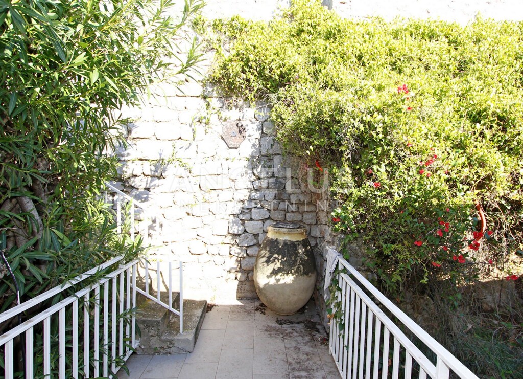 Image 19