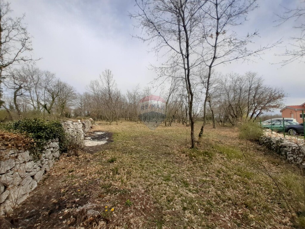 Image 5429847 - 1
