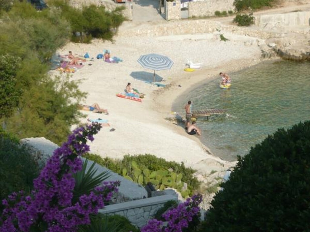 Image 3811989 - 8