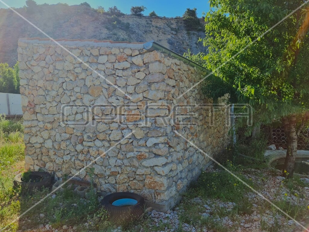 Image 11