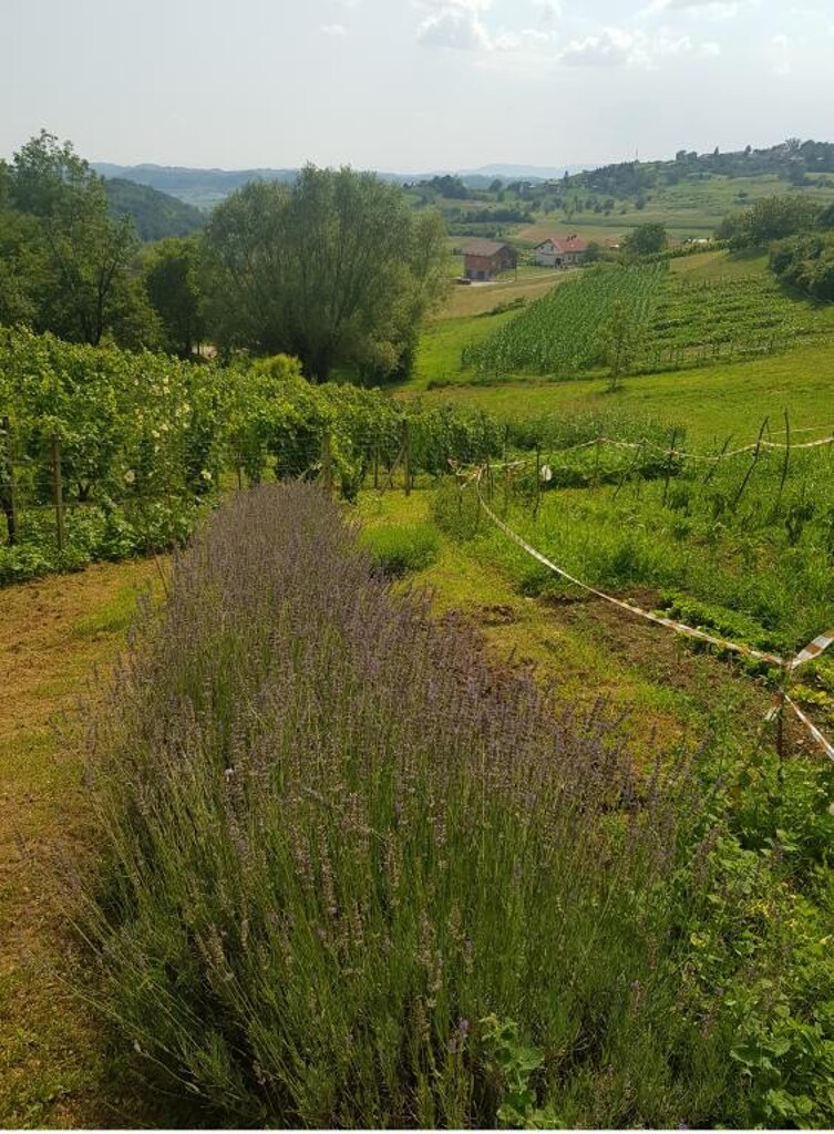 Image 3813394 - 13
