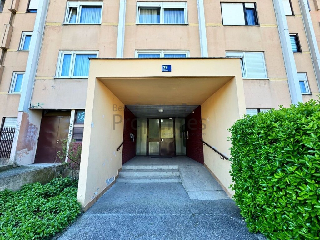 Image 13