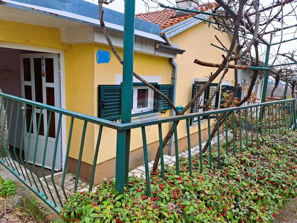 Image 5430087 - 1