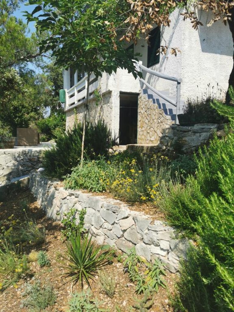 Image 3823646 - 29