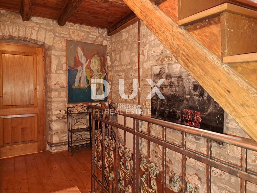 Image 13