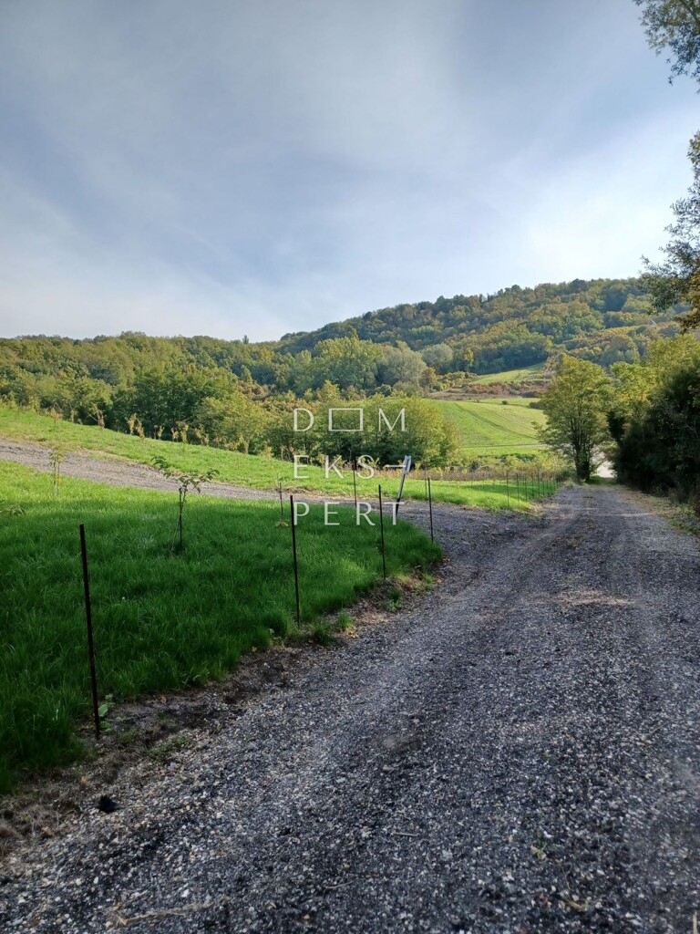 Image 15