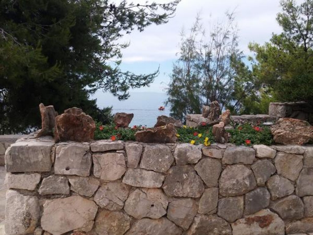 Image 13