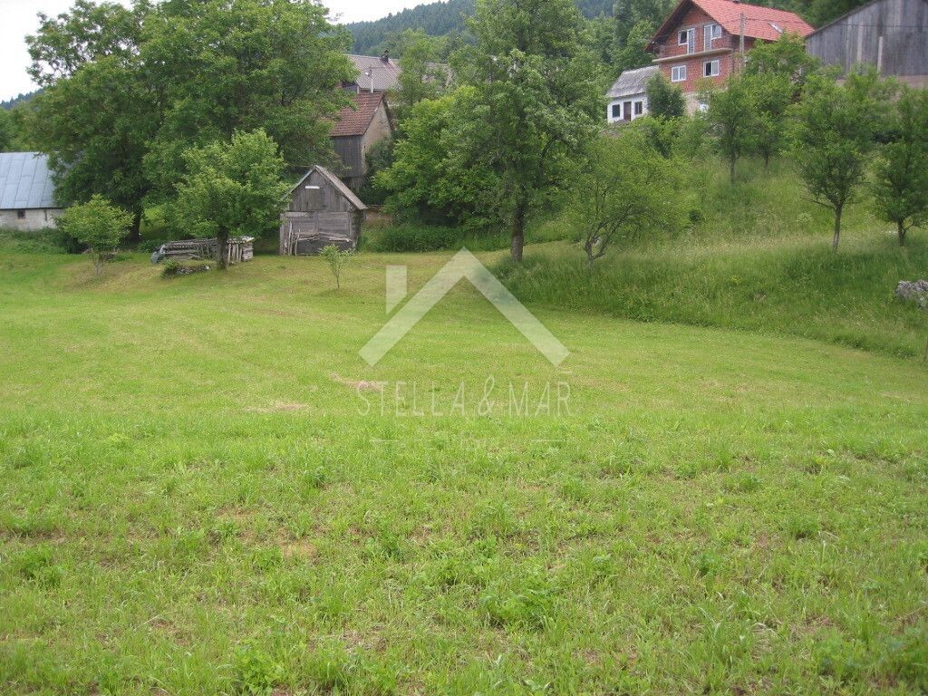 Image 5195037 - 3