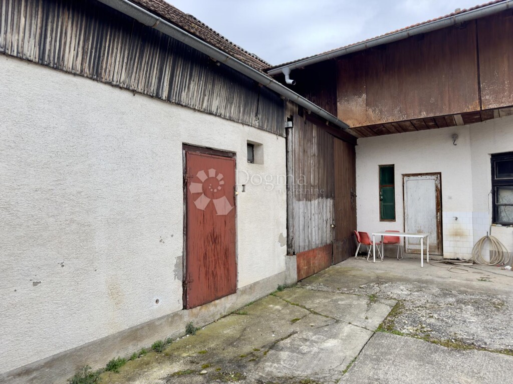 Image 8
