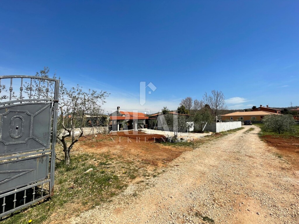 Image 11