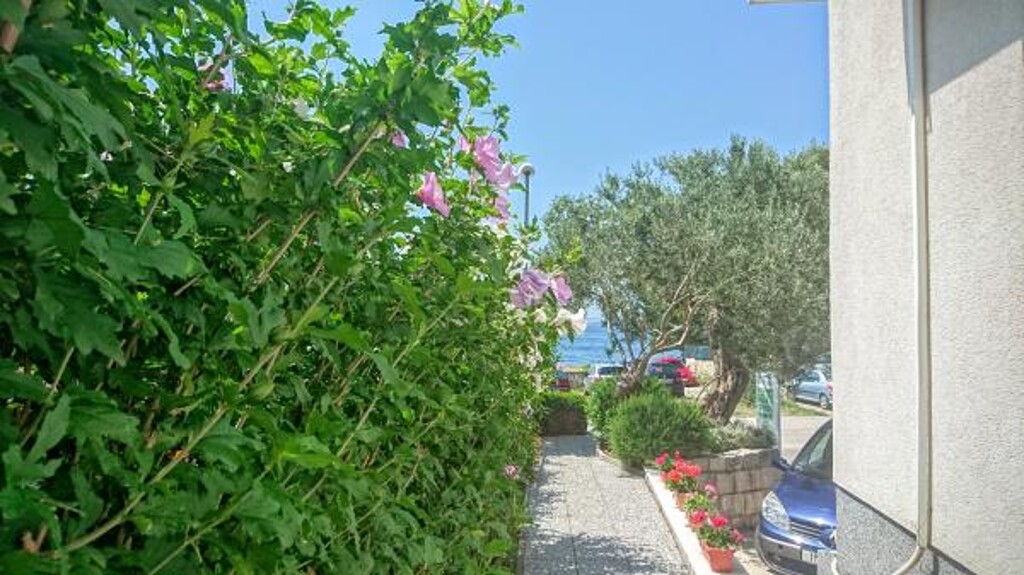 Image 3812039 - 3