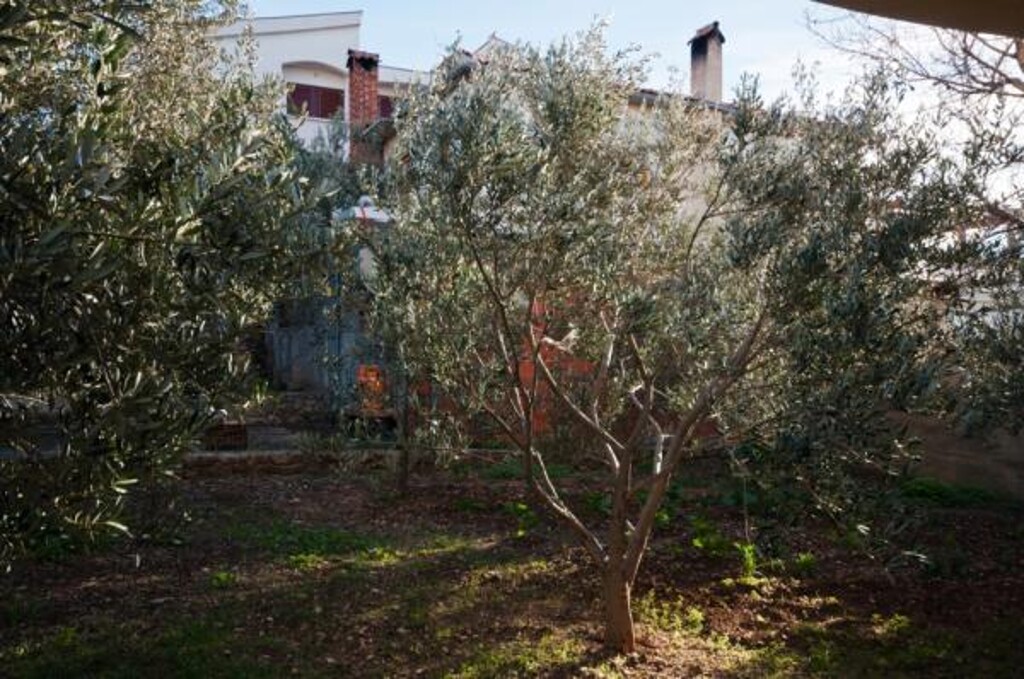 Image 3812233 - 7