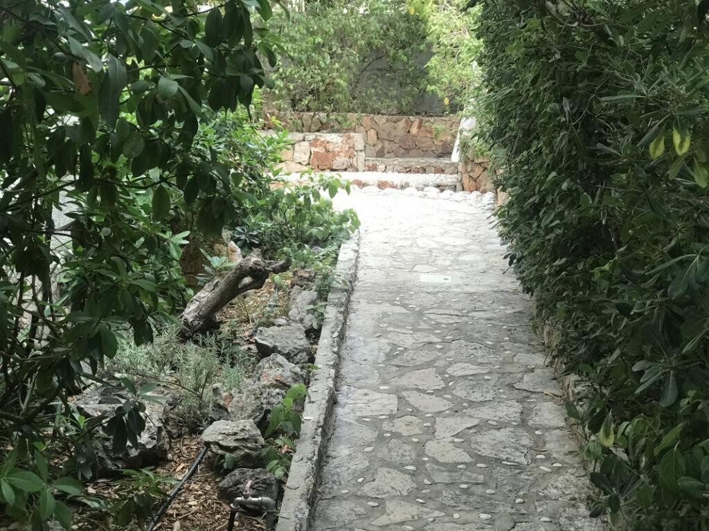 Image 7