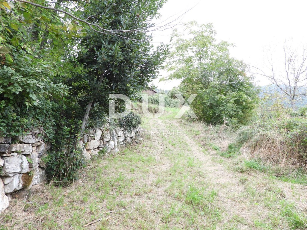 Image 16